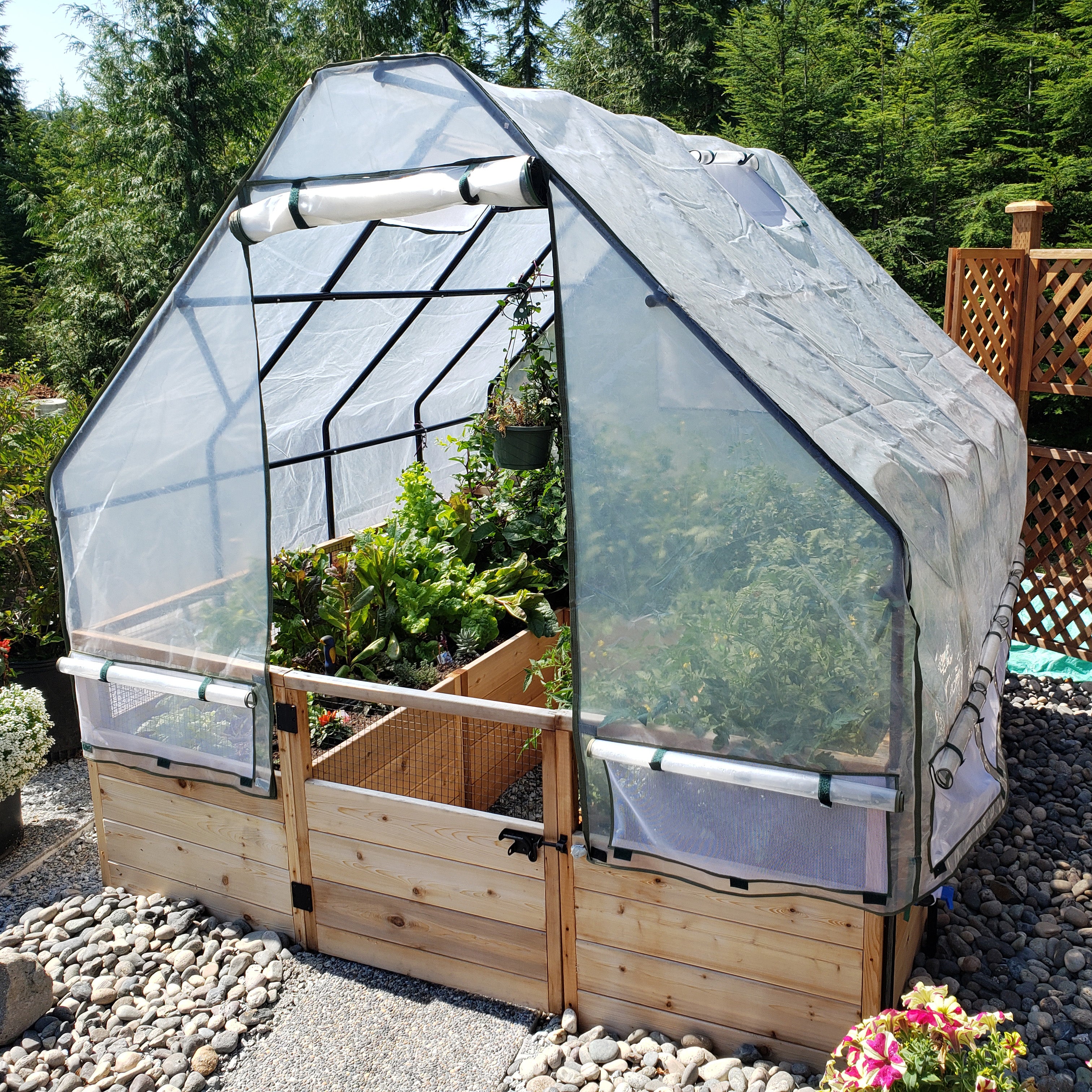 8'x8' raised cedar garden bed with greenhouse cover, rear view