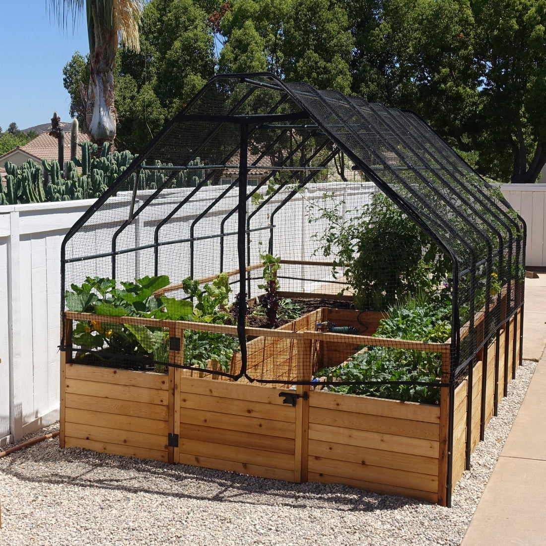 8'x8' raised cedar garden bed with bird net fence, product photo