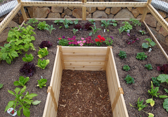 OLT Raised Garden Bed with deer fence, additional angle