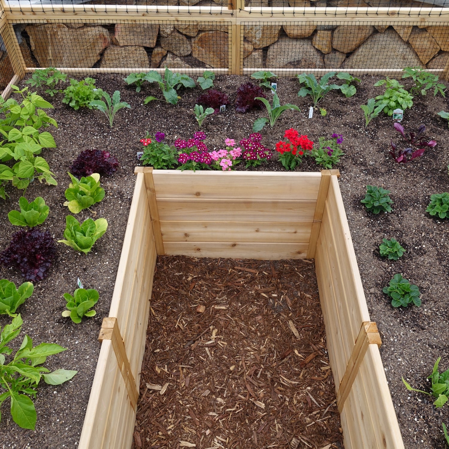 8'x8' raised cedar garden bed, product photo