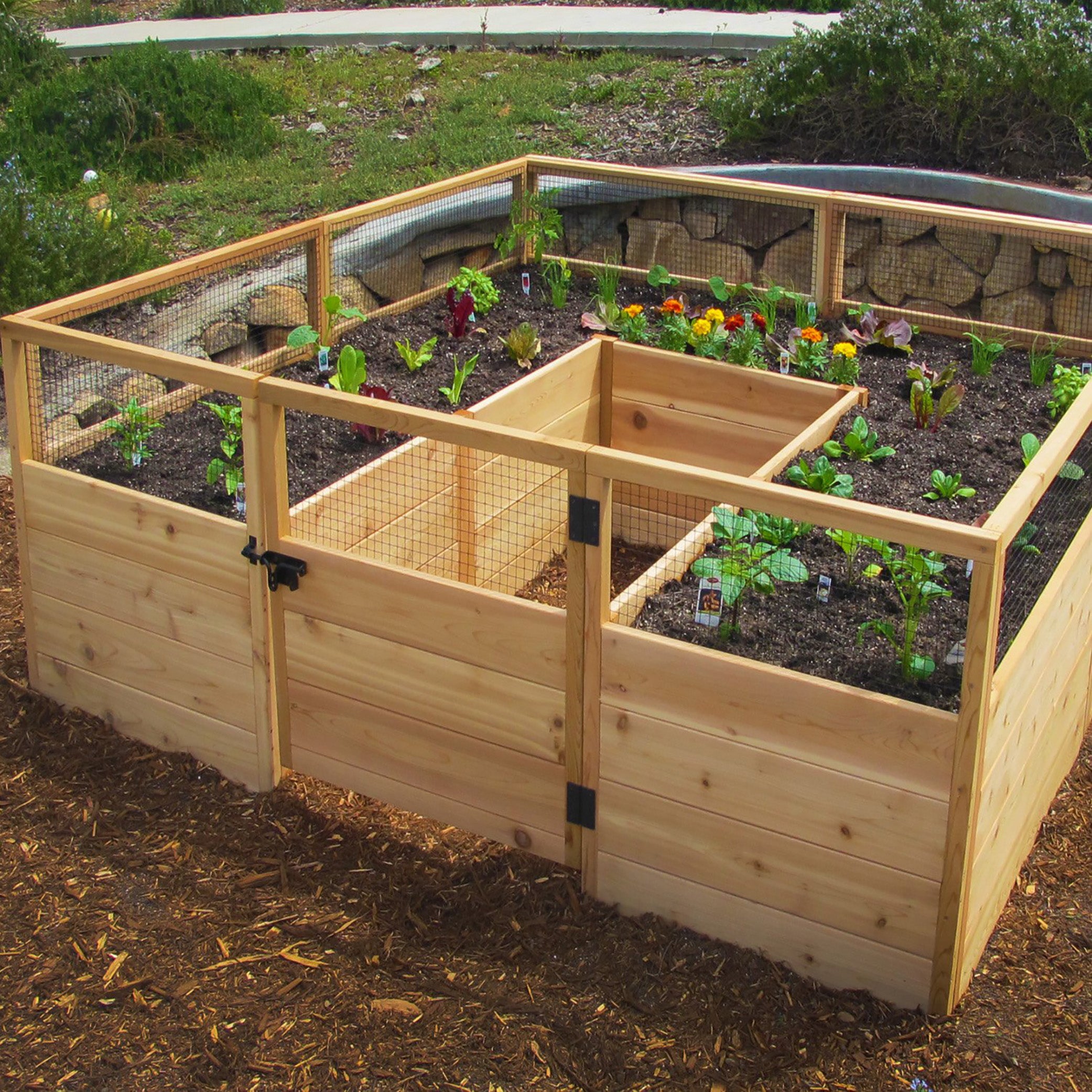 8'x8' raised cedar garden bed, rear view