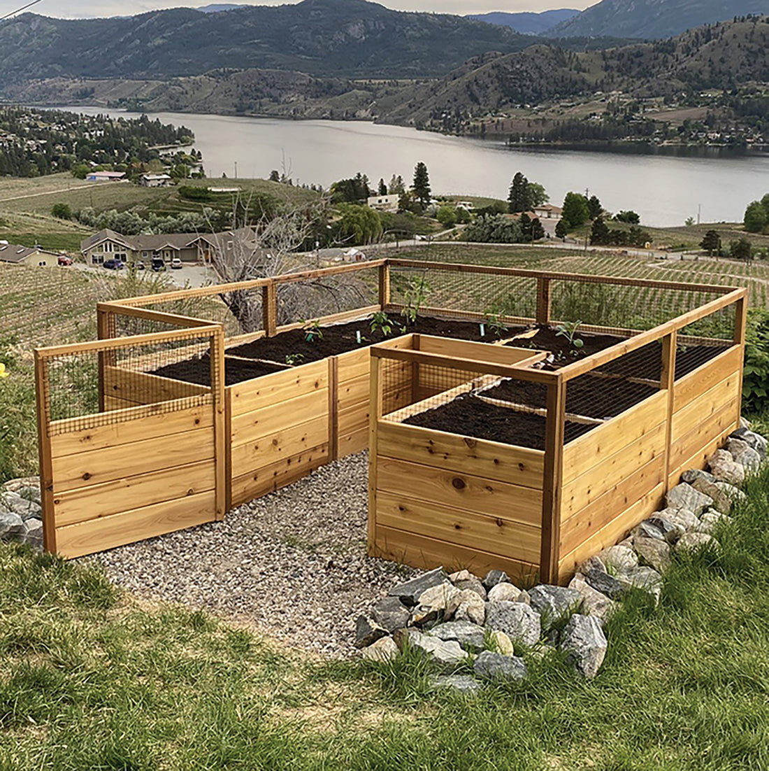 8'x8' raised cedar garden bed, side view