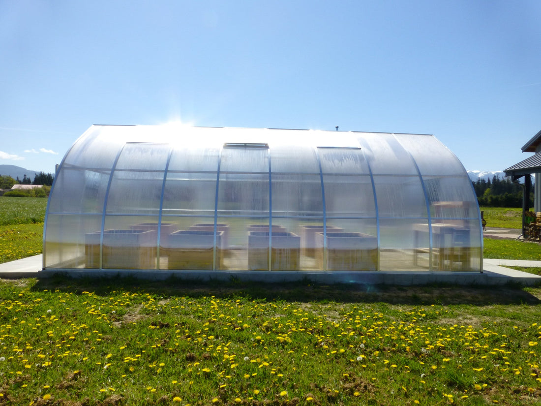 Riga XL greenhouse side view