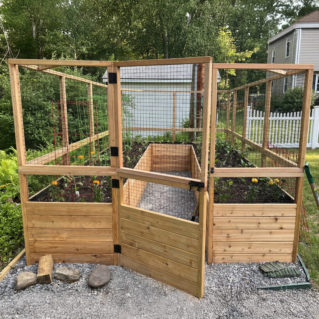 8x16 cedar raised garden bed with deer fence kit installed