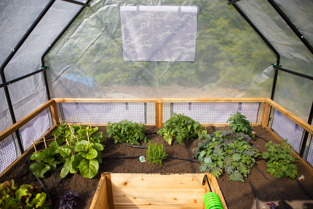 Raised garden bed with greenhouse cover, additional view