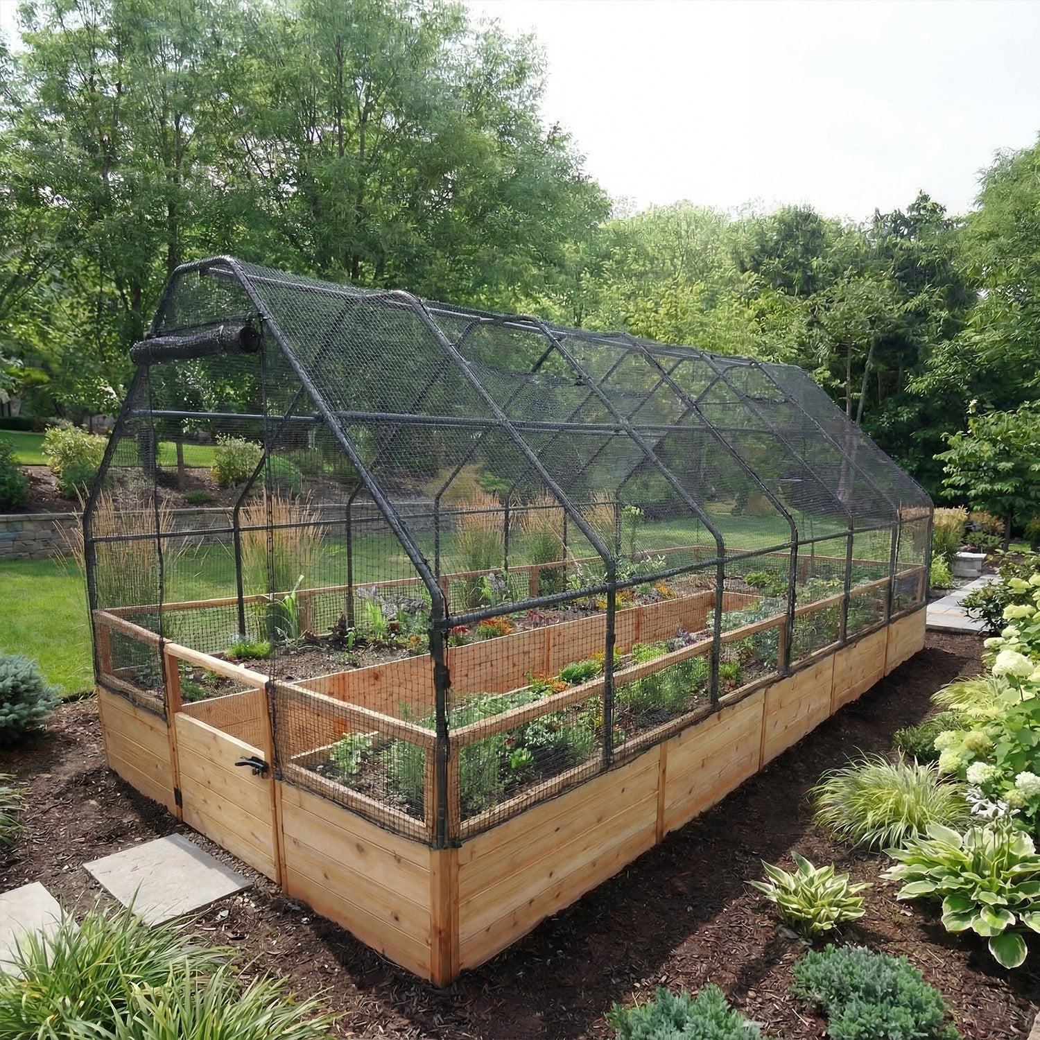 8'x16' raised cedar garden bed with bird netting kit