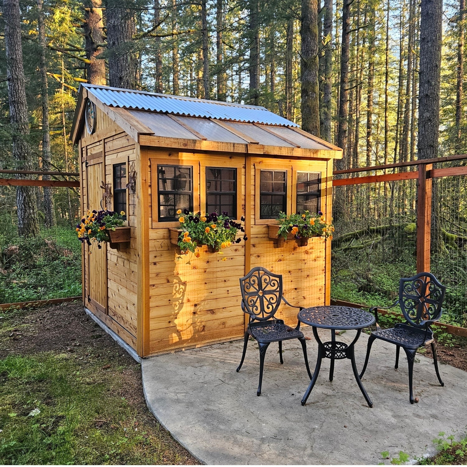 OLT Sunshed Garden Shed 8x8, product rendering