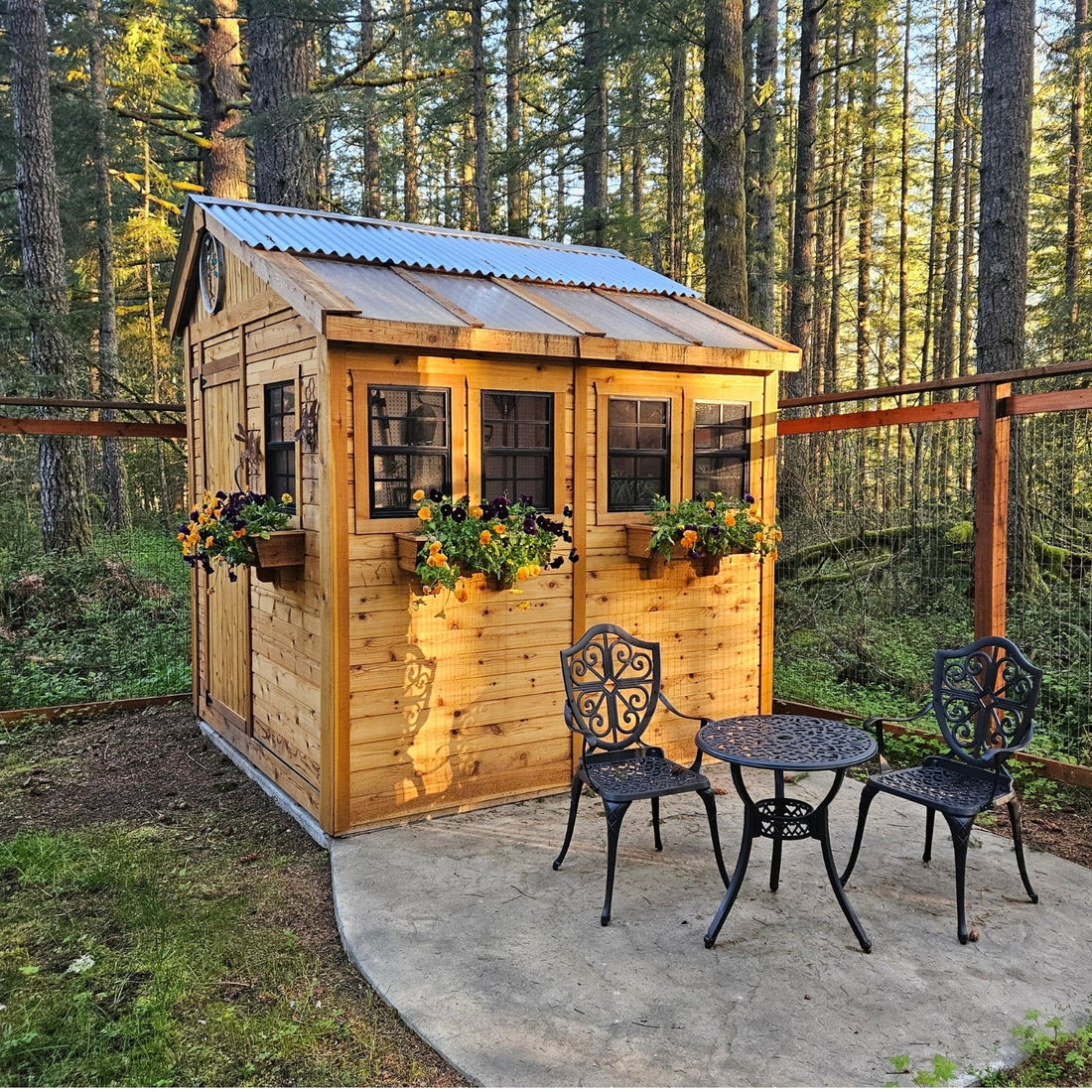 OLT Sunshed Garden Shed 8x8, product rendering