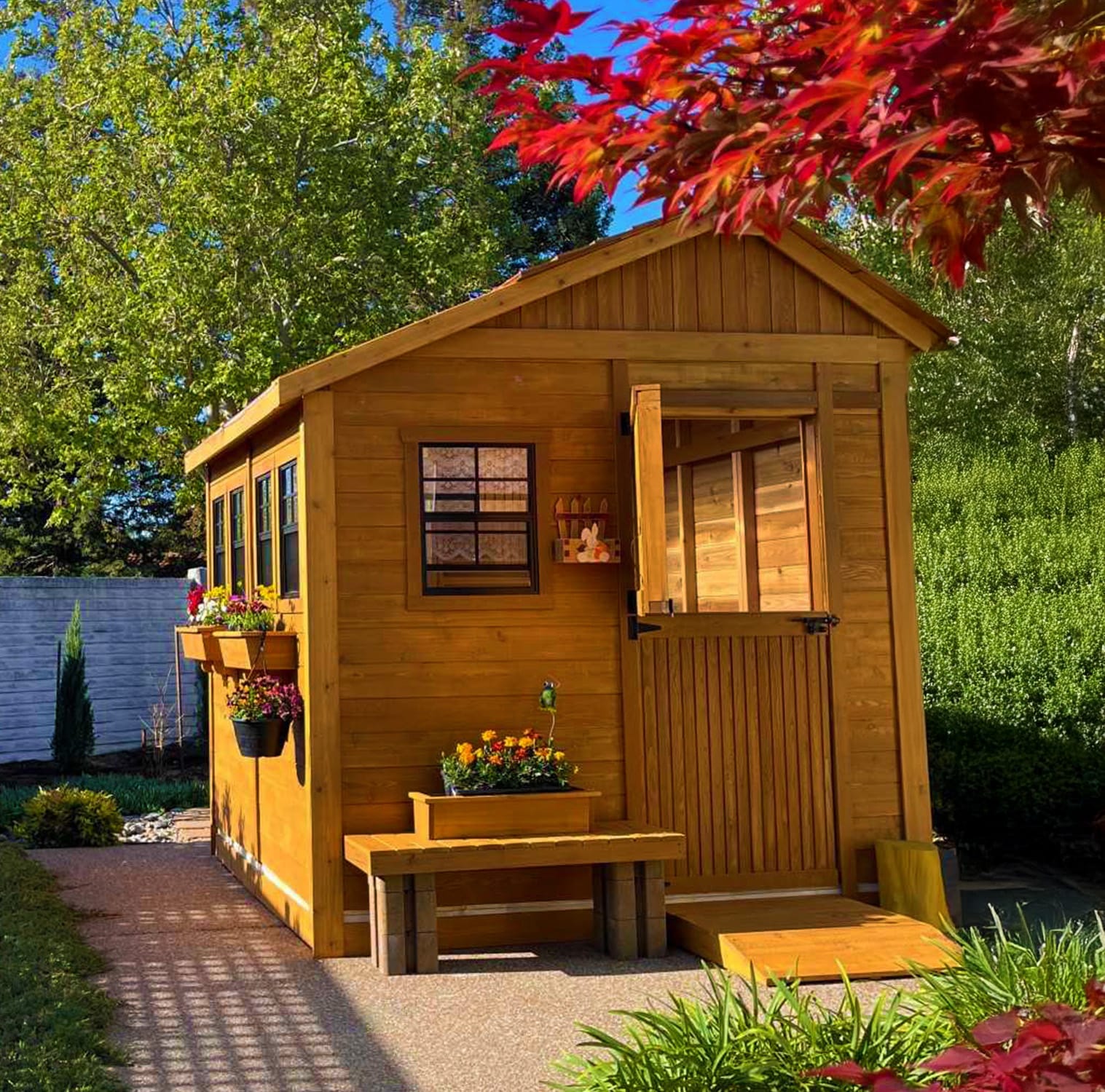 OLT Sunshed Garden Cedar Greenhouse/Shed