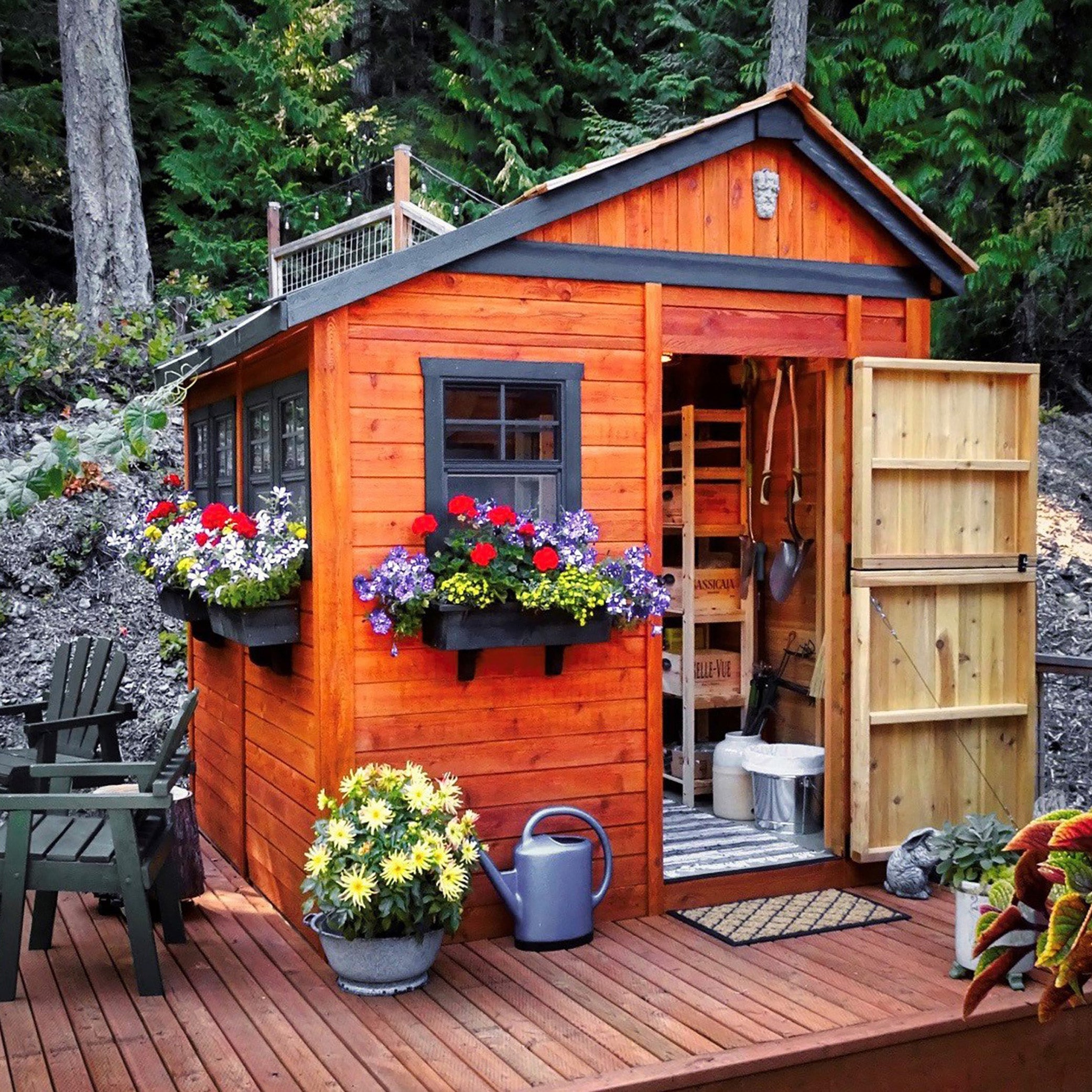 OLT Sunshed Garden Shed 8x8 with cedar roof, angled view