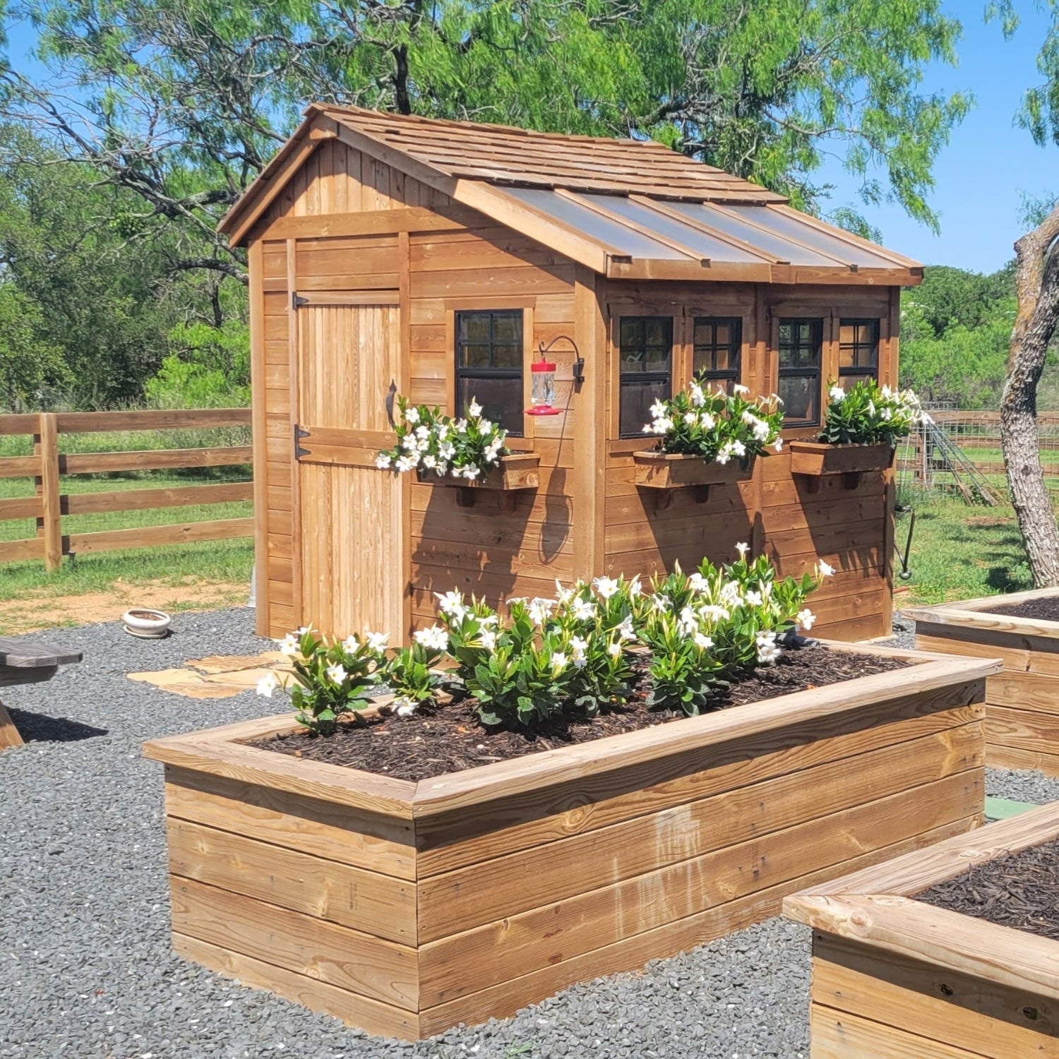 OLT Sunshed Garden Shed 8x8, product rendering
