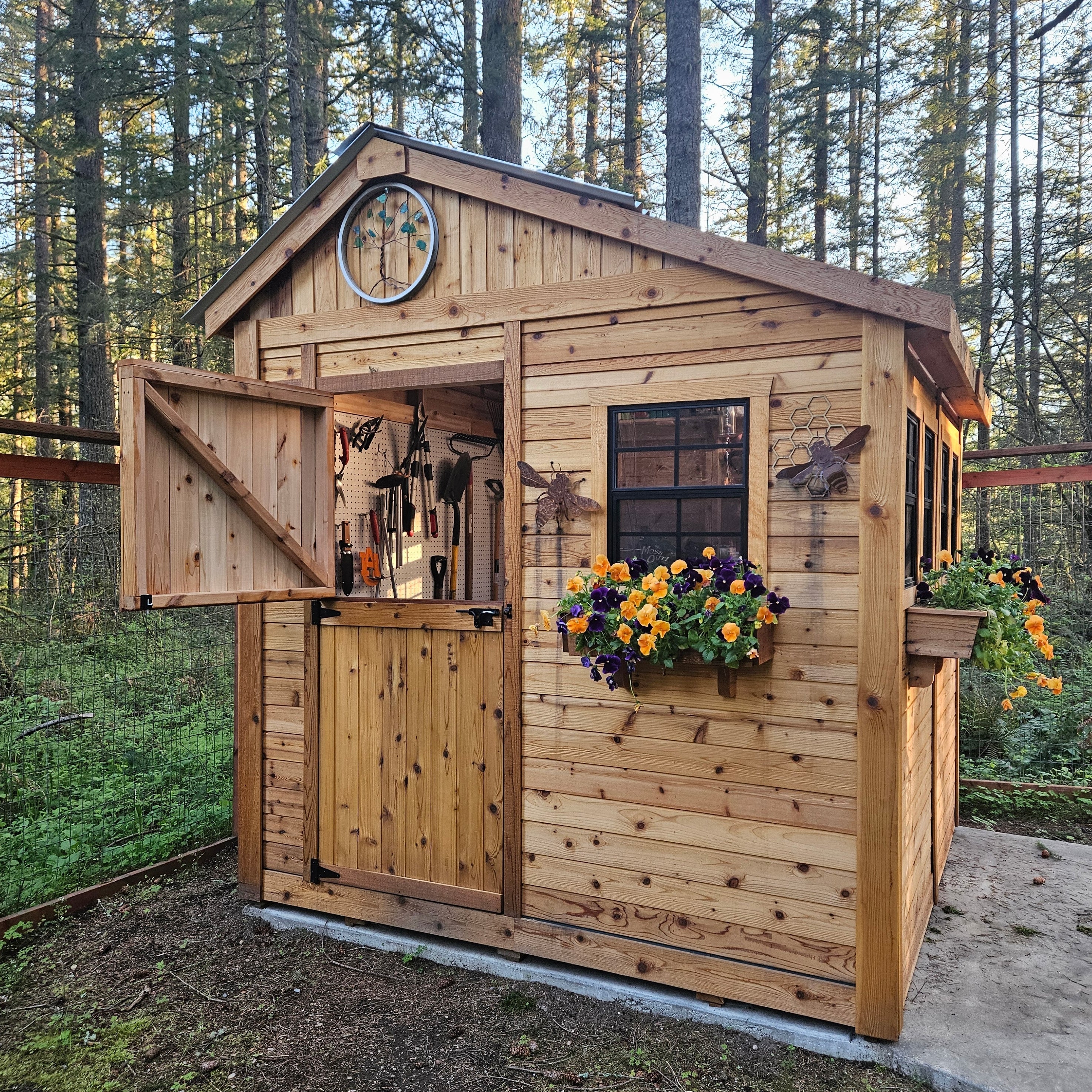OLT Sunshed Garden Shed 8x8 with metal roof, front view