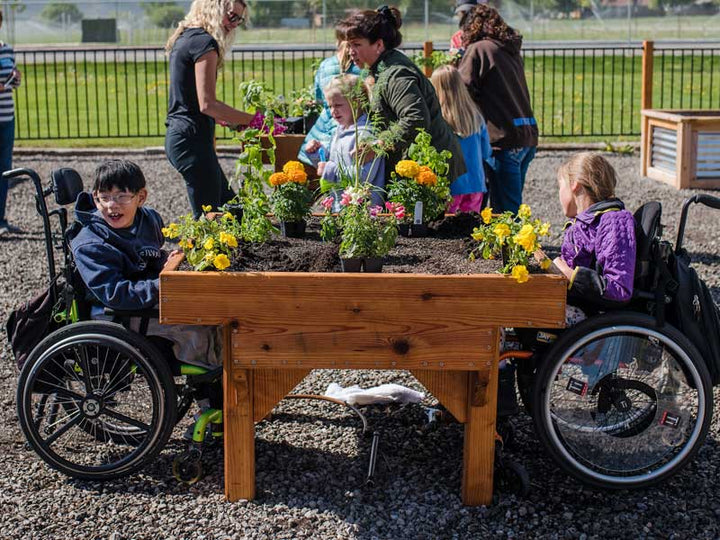 ADA-compliant forward-facing wheelchair garden bed with open clearance underneath