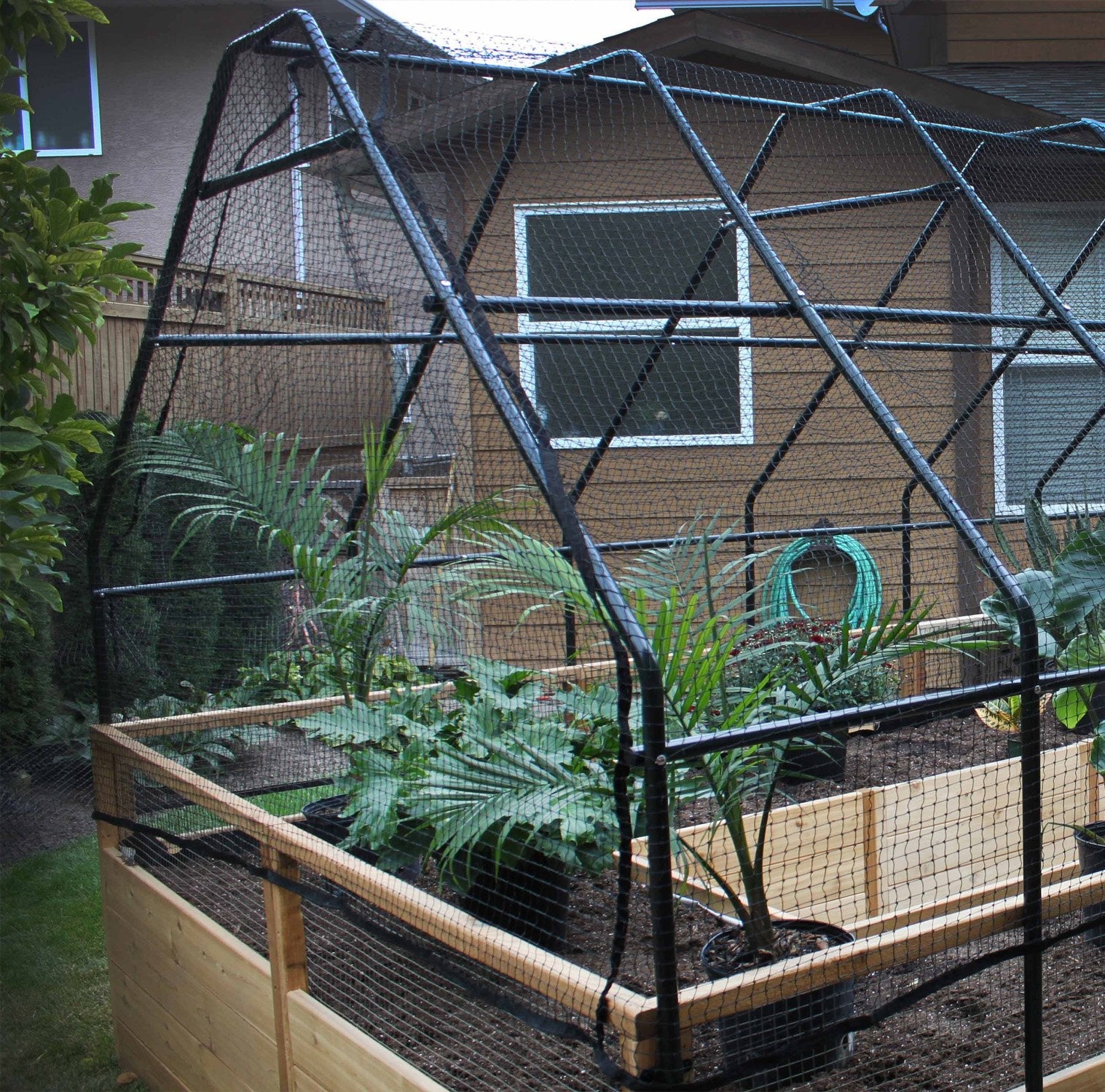 Ergonomic Raised Cedar Garden Bed w/ Bird Net – World of Greenhouses