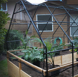 OLT Raised Cedar Garden Bed  With Bird Netting - 8'x8', 8'x12' or 8'x16'