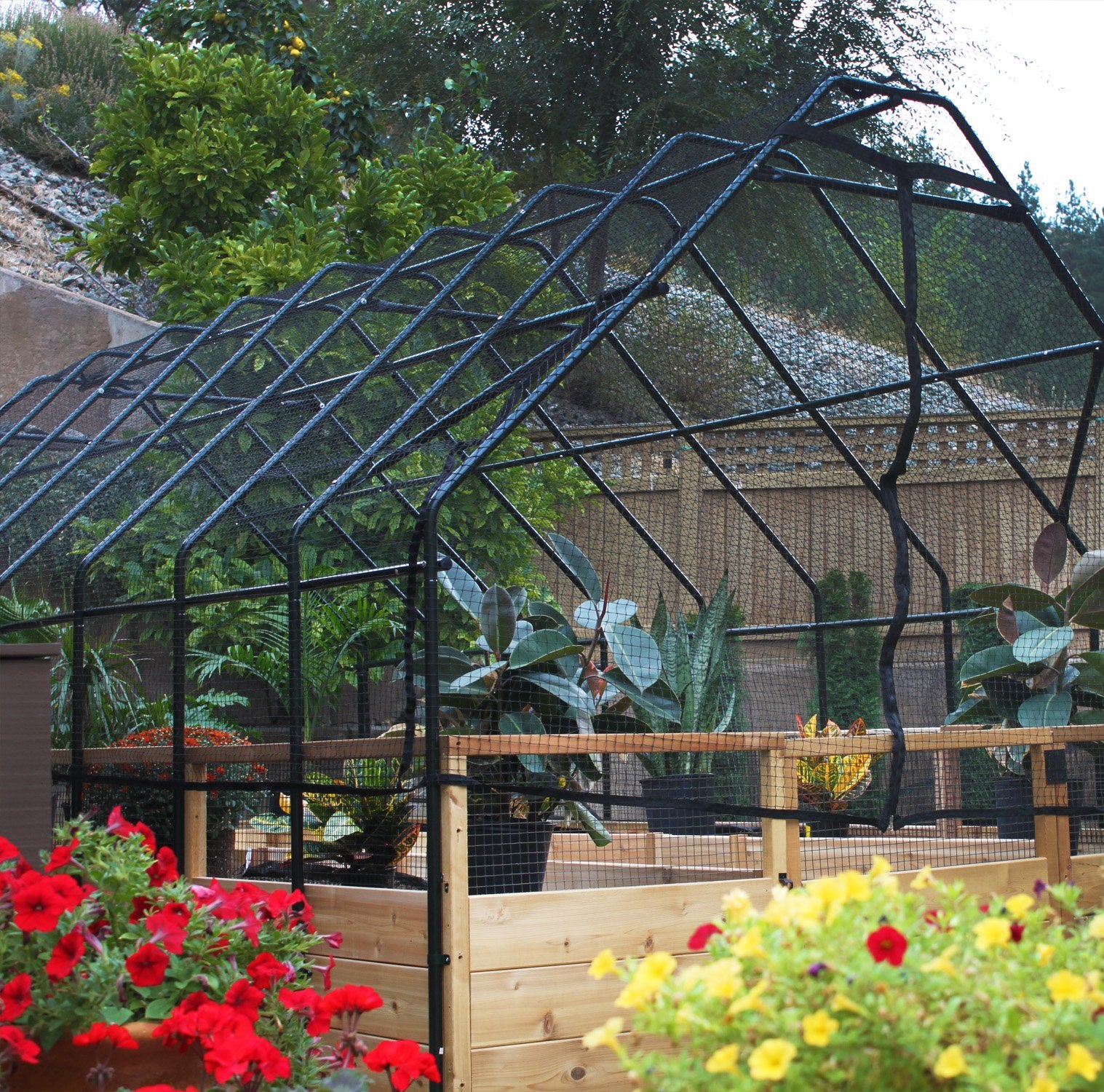 Cedar raised garden bed with bird net fence cover, side view