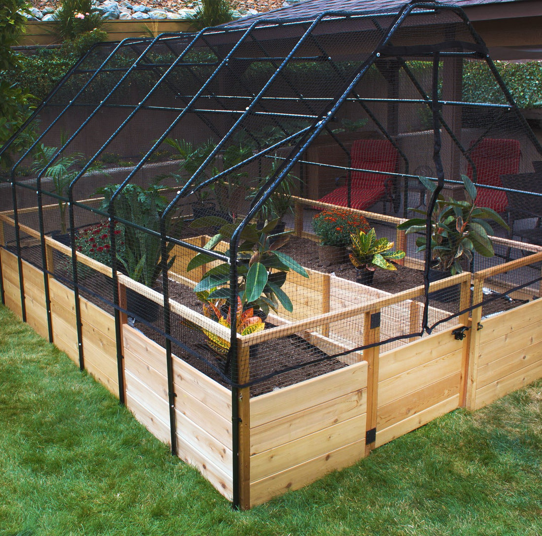 Cedar raised garden bed with bird net fence cover, front view