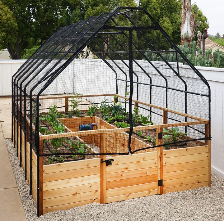 Cedar raised garden bed with bird net fence, interior view