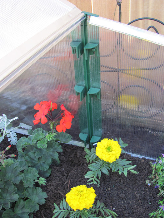 Juwel Double Cold Frame roof window detail