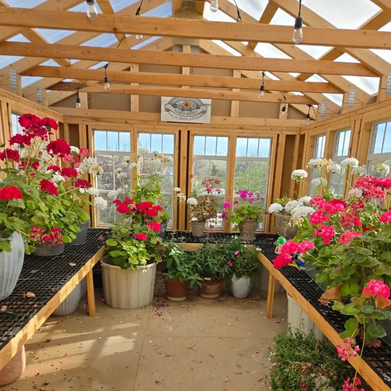 Colonial Greenhouse by Alpine structures