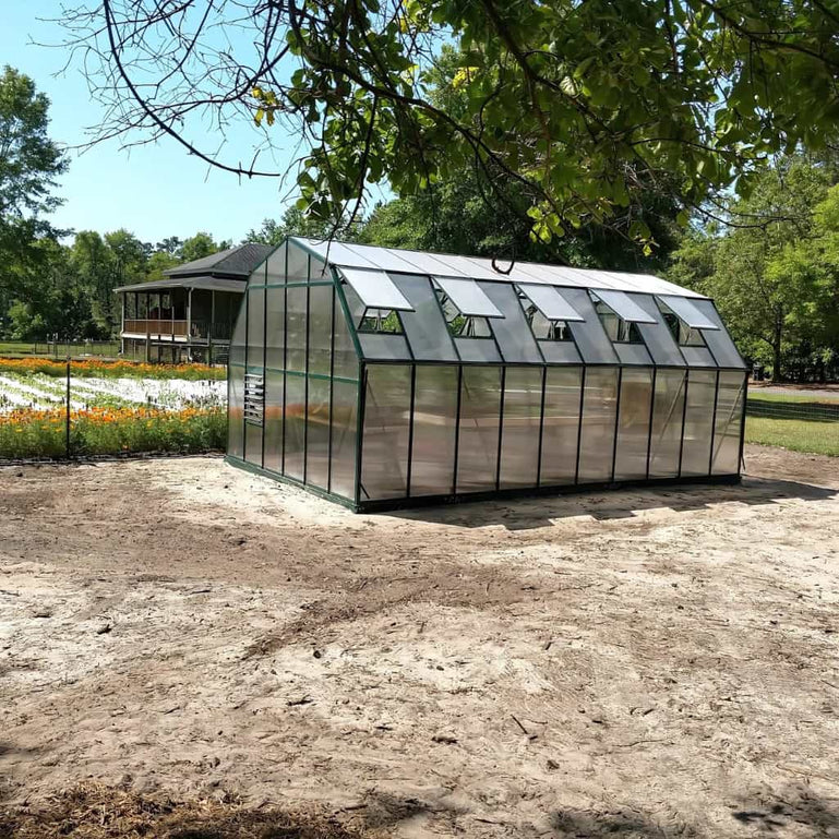 Grandio Summit Greenhouse - EXTRA WIDE 12' Greenhouse