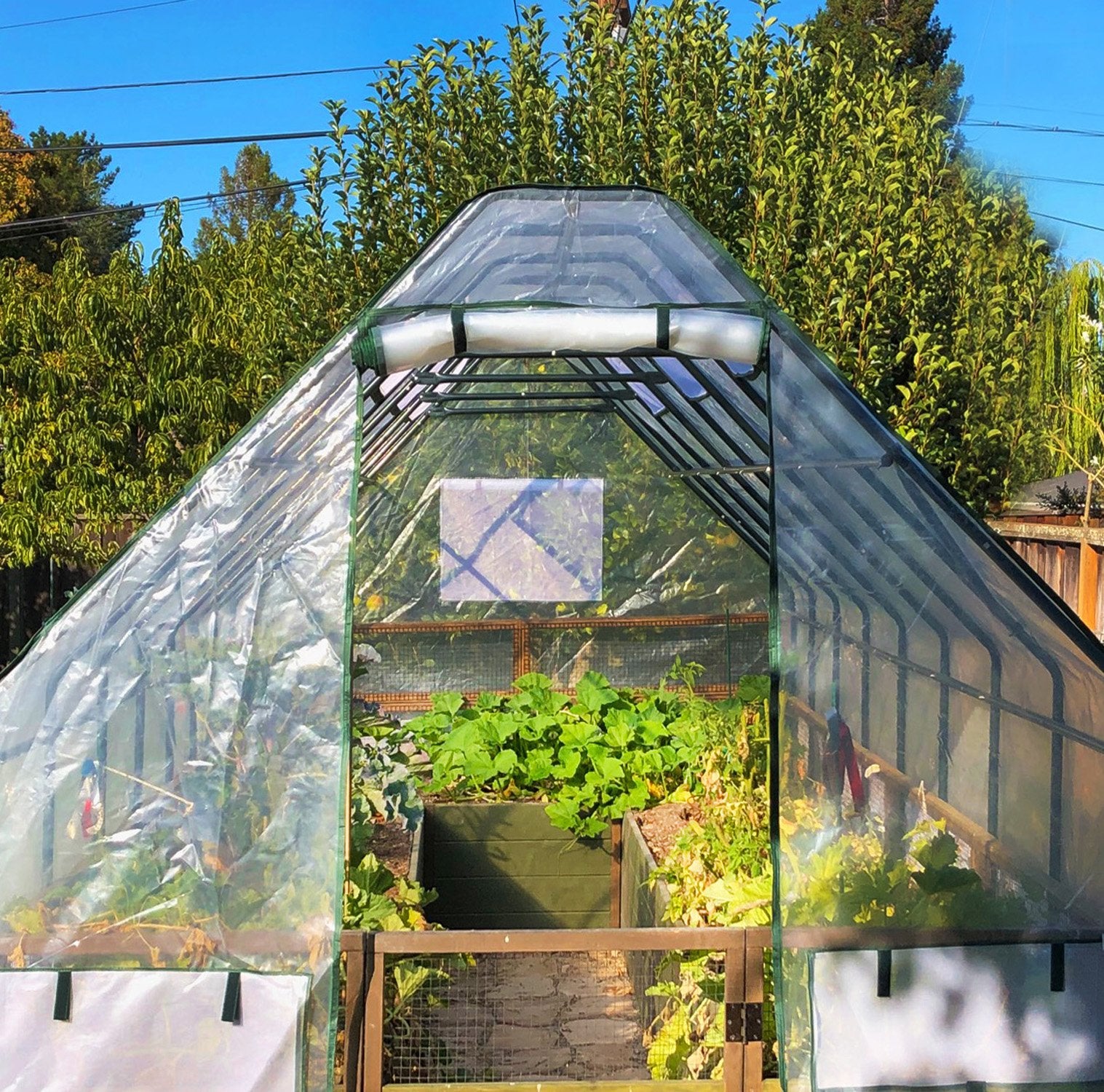 Raised cedar garden bed with greenhouse cover, exterior view