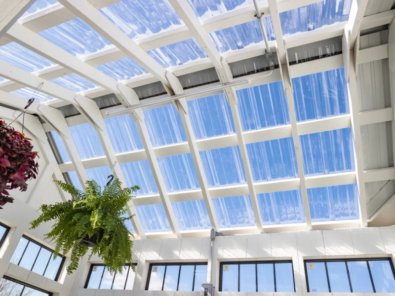 interior view of greenhouse roof with panels painted white