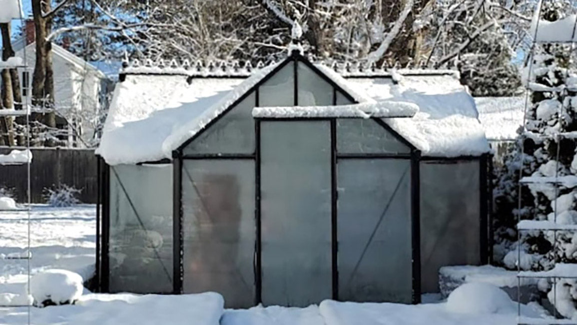 Junior Orangerie Greenhouse - interior