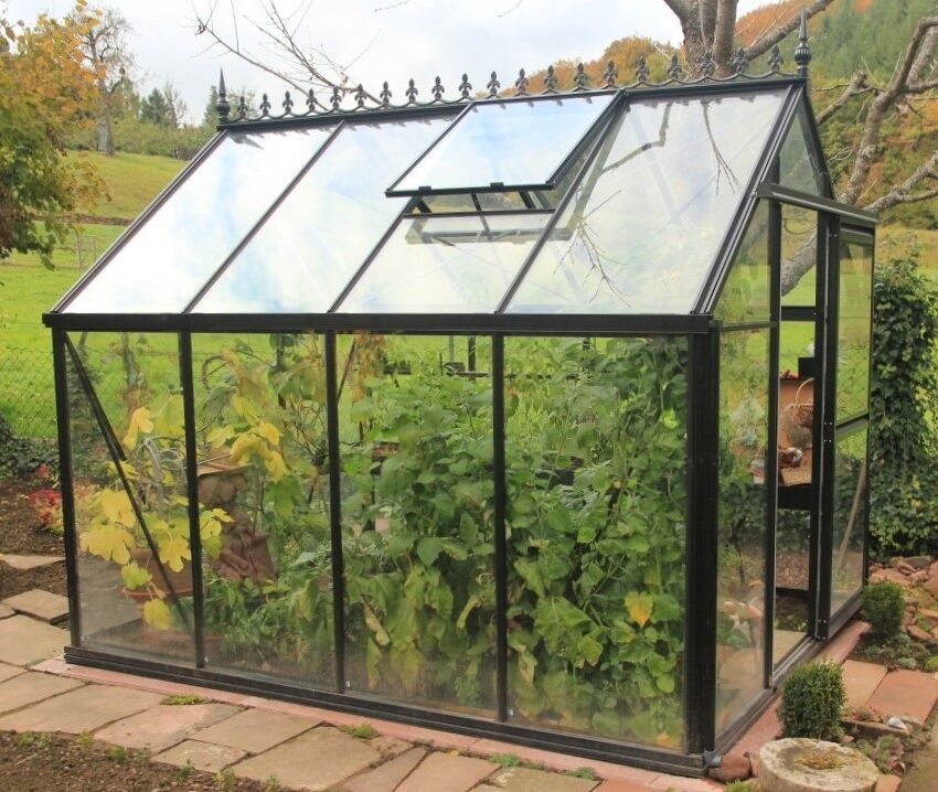 Junior Victorian Greenhouse, additional exterior view