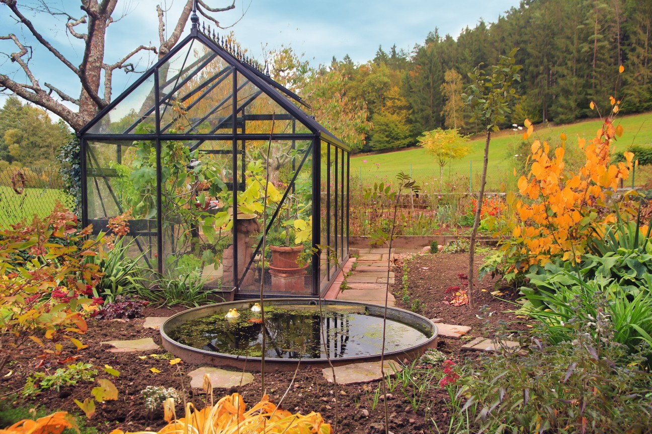 Junior Victorian Greenhouse color and frame options