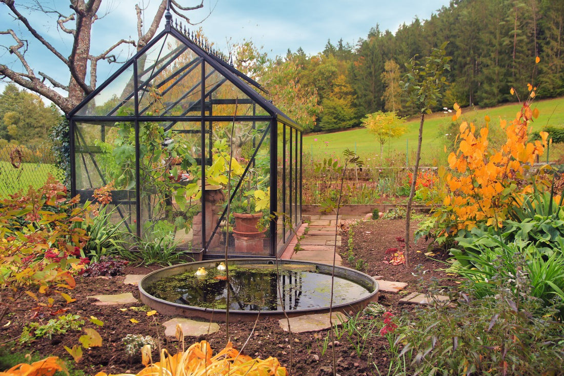 Junior Victorian Greenhouse color and frame options