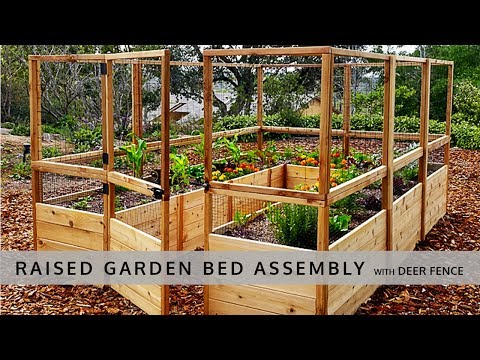 OLT Raised Cedar Garden Bed  With Bird Netting - 8'x8', 8'x12' or 8'x16'