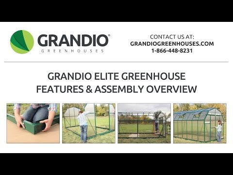 Grandio Elite Greenhouse - 8*8 through 8*24