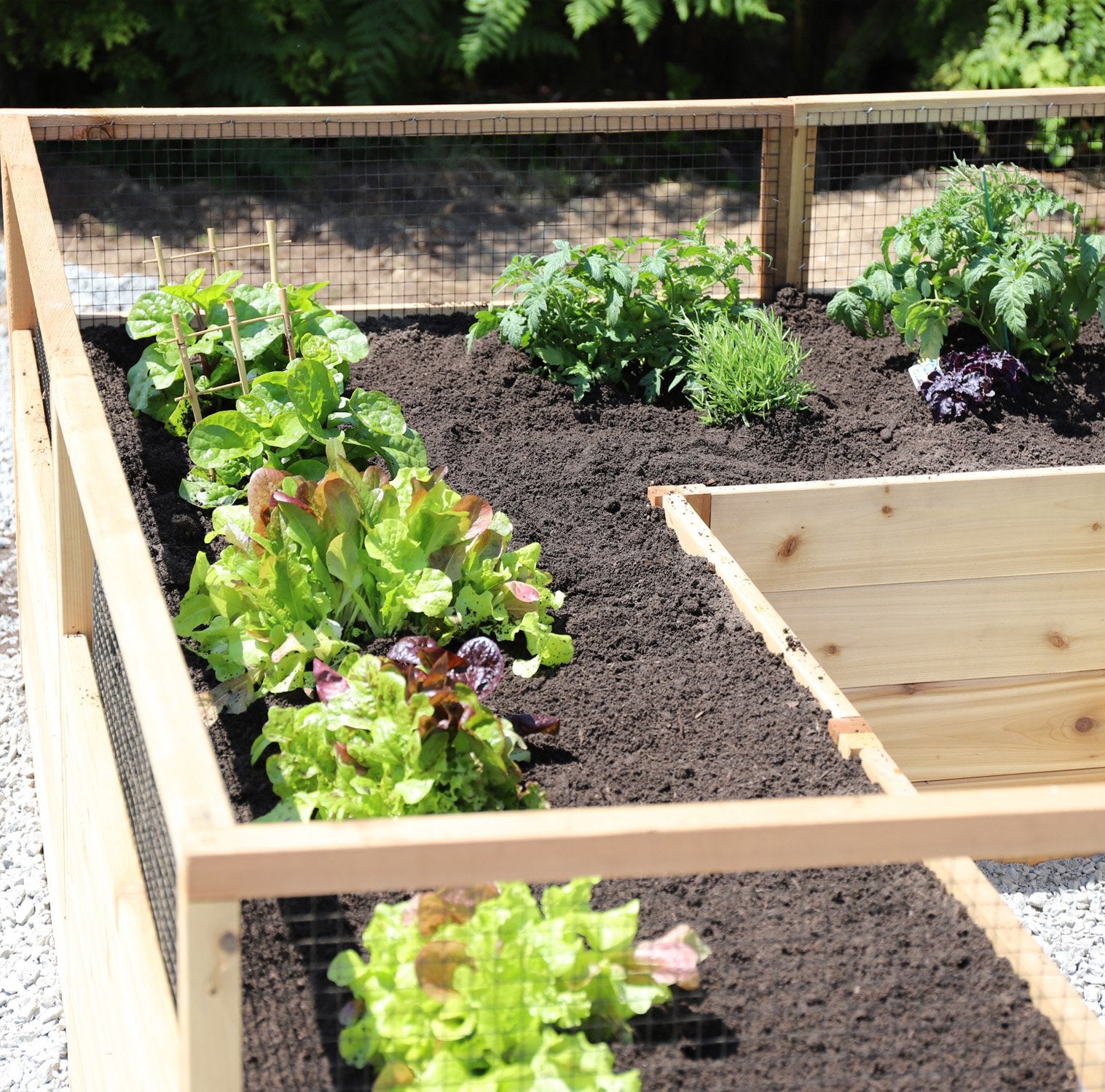 8'x8' raised cedar garden bed, additional view