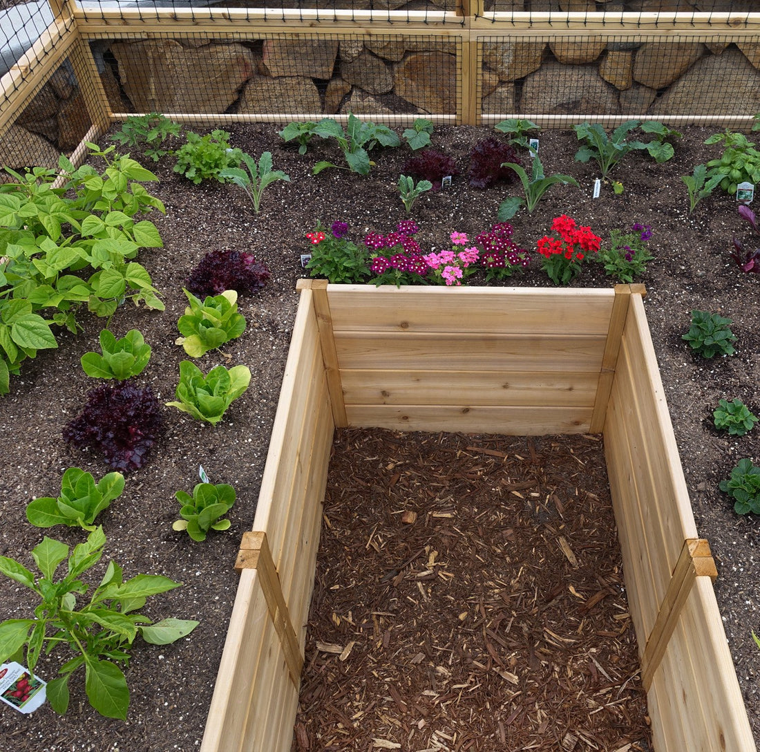 8'x8' raised cedar garden bed, additional view 2