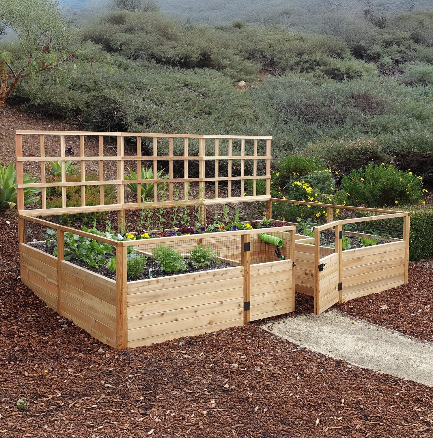 12x8 raised cedar garden bed with optional lattice trellis panel