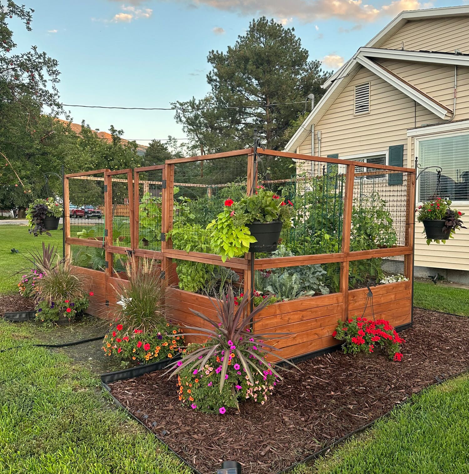 12x8 raised cedar garden bed with lattice trellis panel, angle 2