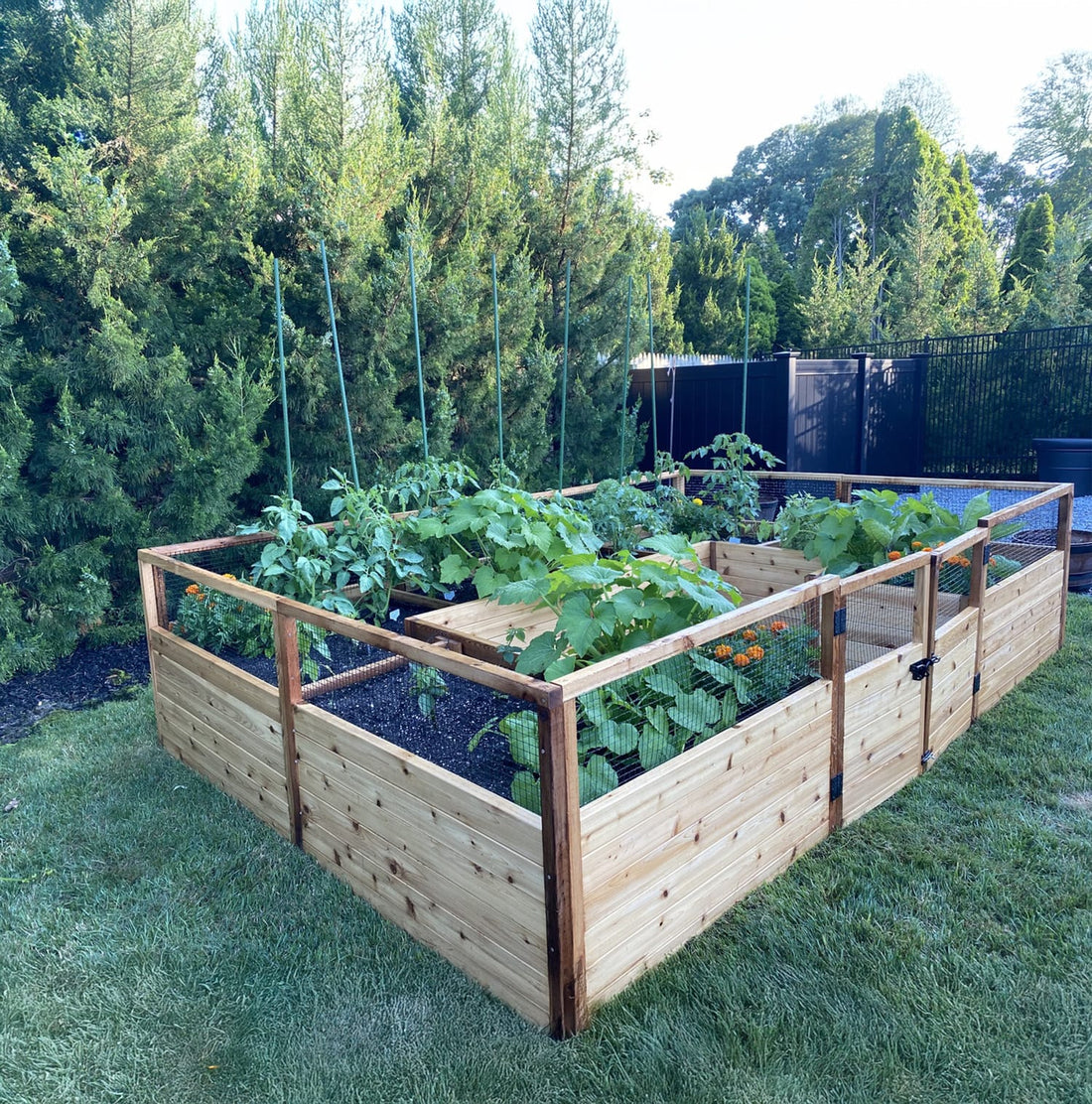 12x8 raised cedar garden bed with lattice trellis panel, angle 3