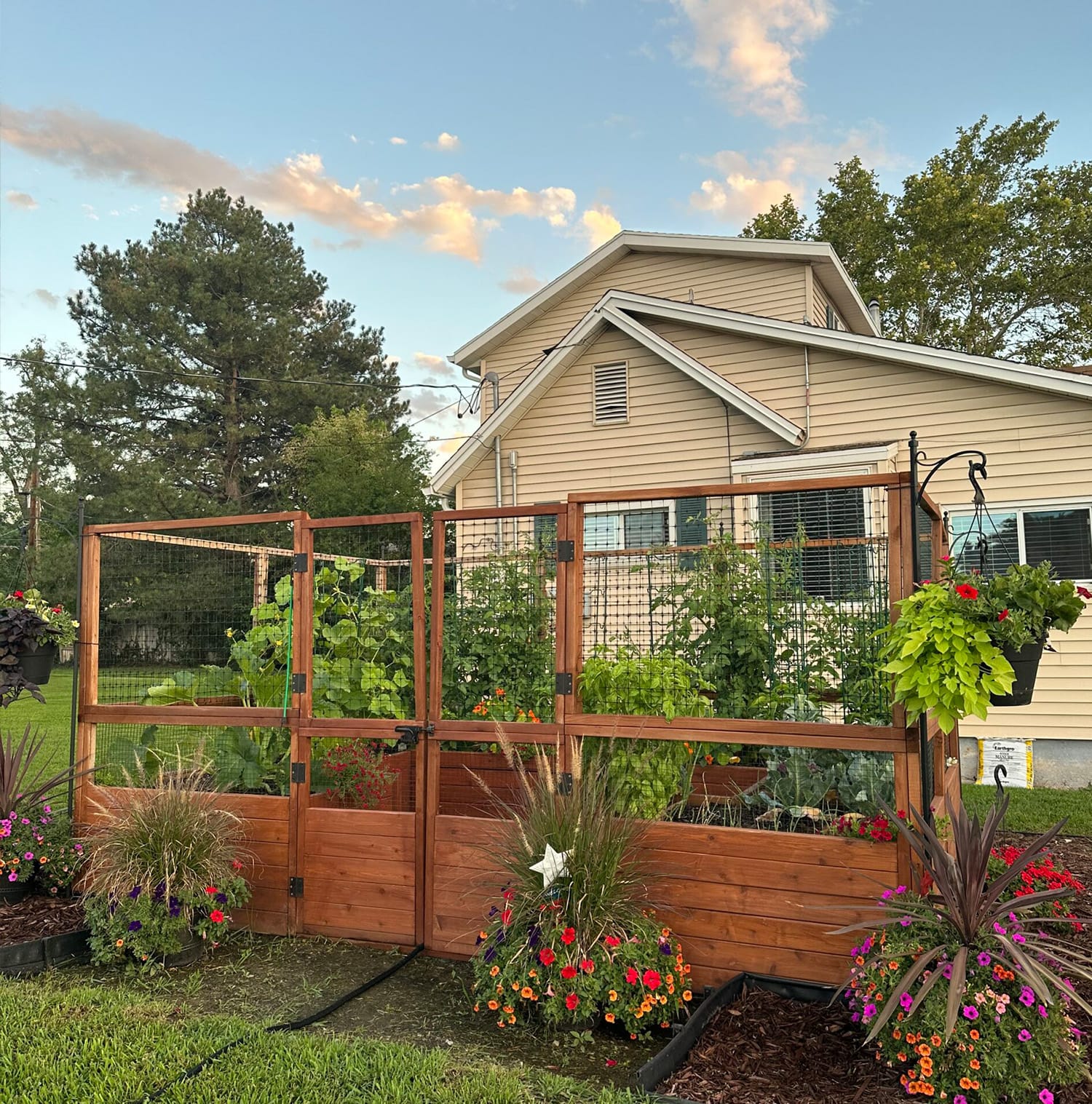 12x8 raised cedar garden bed with lattice trellis panel, angle 4