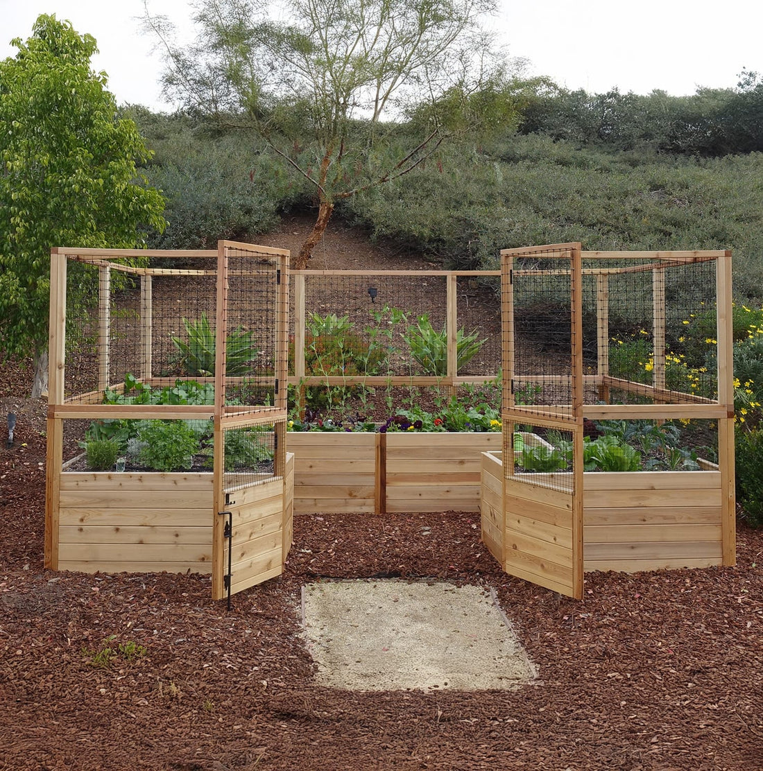 12X6 doulbe door wider access to raised cedar garden with deer fence