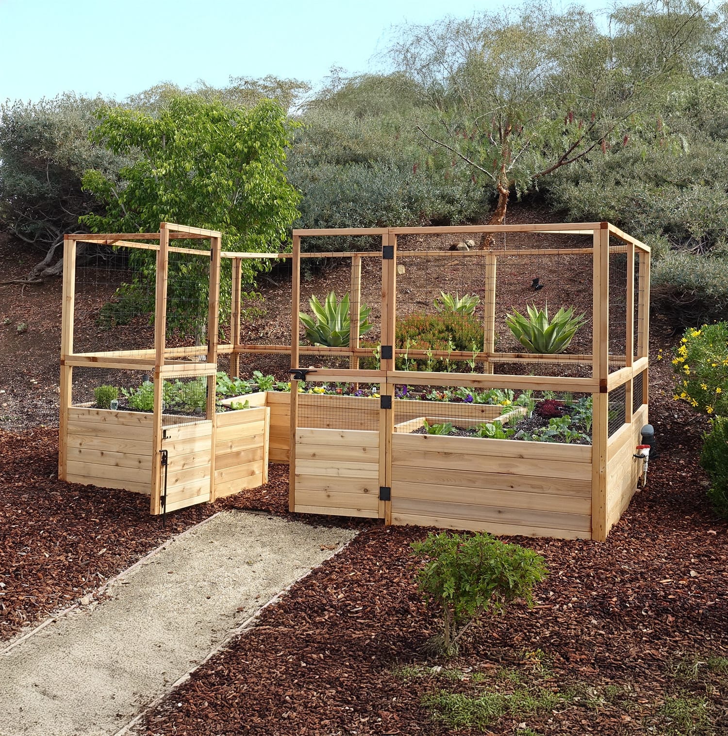 12x8 raised cedar garden bed with deer-proof fence, alternate angle