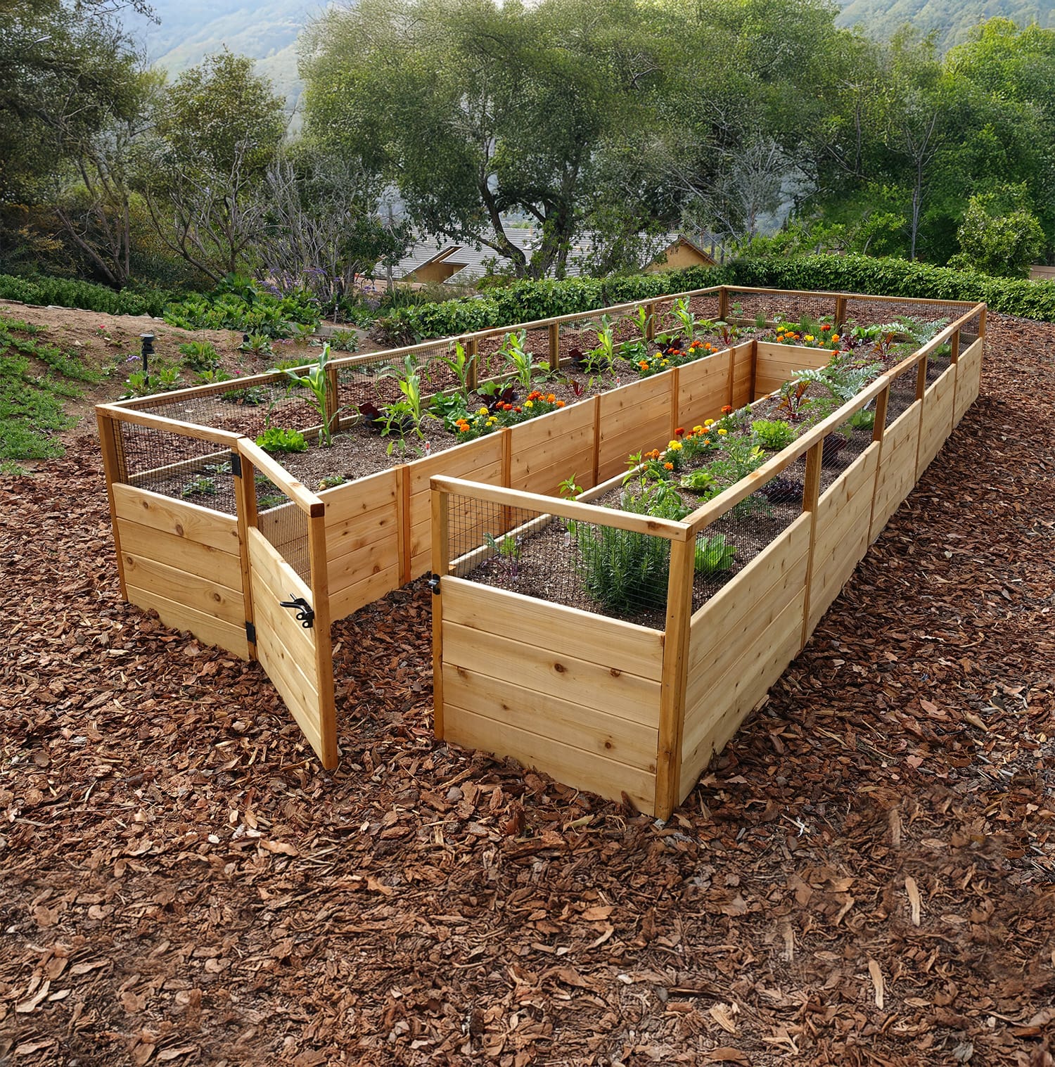 OLT Raised Cedar Garden Bed - Deer Fence Option (8'x8', 8'x12' or 8'x16')