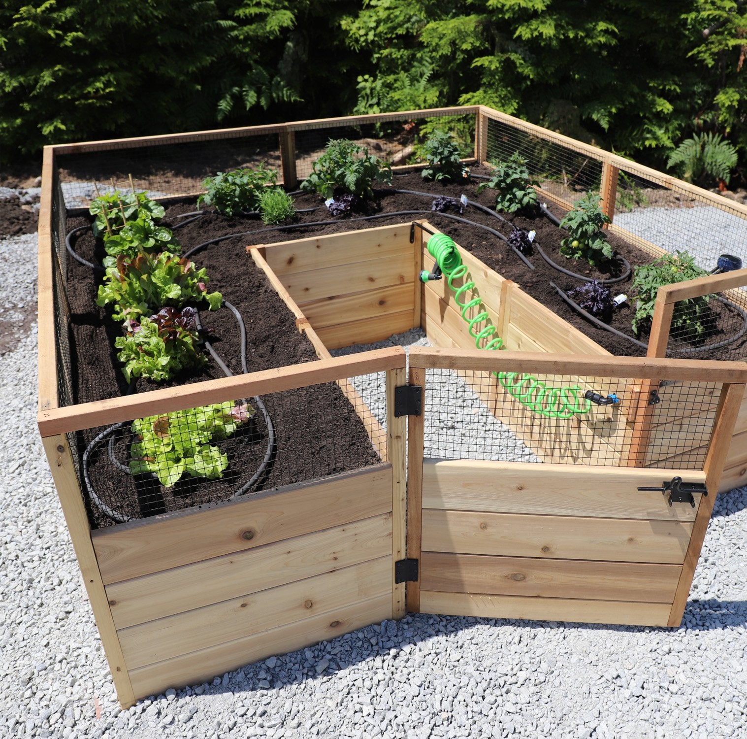8'x8' raised cedar garden bed, exterior view