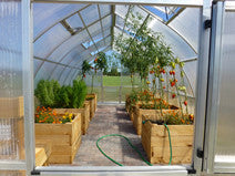 Riga XL greenhouse installed in a backyard setting
