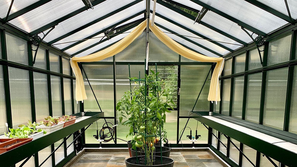 Royal Victorian Hybrid Greenhouse - exterior