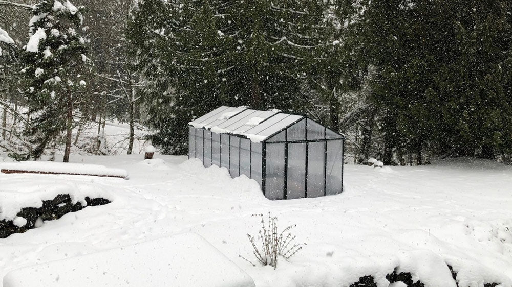Royal Victorian Hybrid Greenhouse - interior