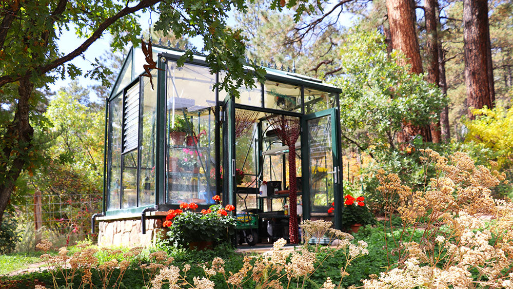 Royal Victorian Greenhouse By Janssens - vi23 (small), vi34 (medium) , vi36 (large), vi46 (X-large)