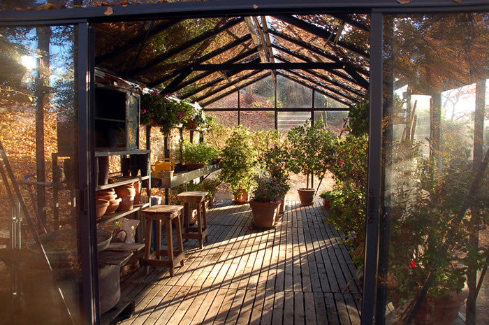 Royal Victorian VI36 glass greenhouse, additional view