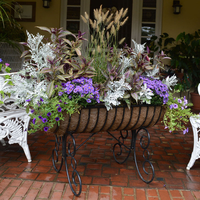 Classic Ironwork Cradle Planters - World of Greenhouses - 7