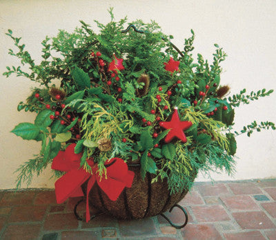 Classic Ironwork Cauldron Planters